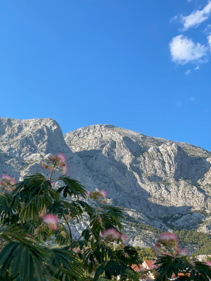 באסקה וודה Heaven'S View Apartments מראה חיצוני תמונה